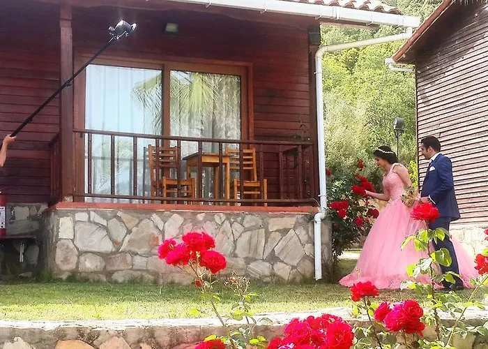 Hotel Club Sun Village