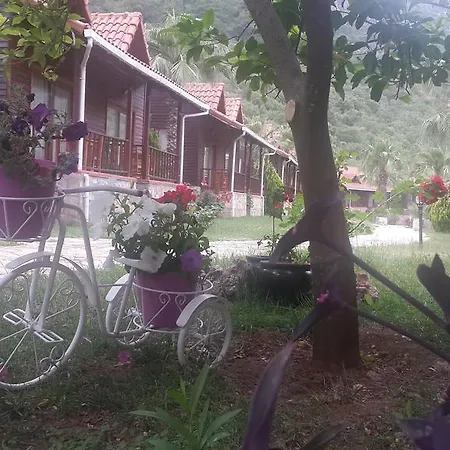 Otel Club Sun Village 3*