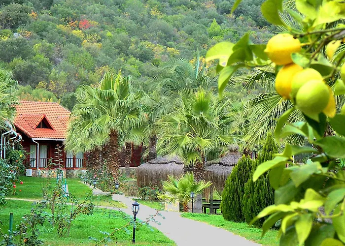 Club Sun Village Hotel
